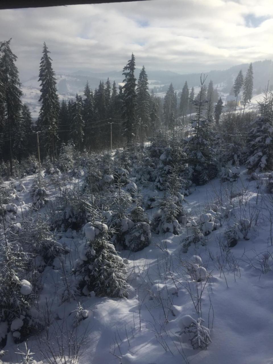 Chalet Shepit Karpat Boekovel Buitenkant foto