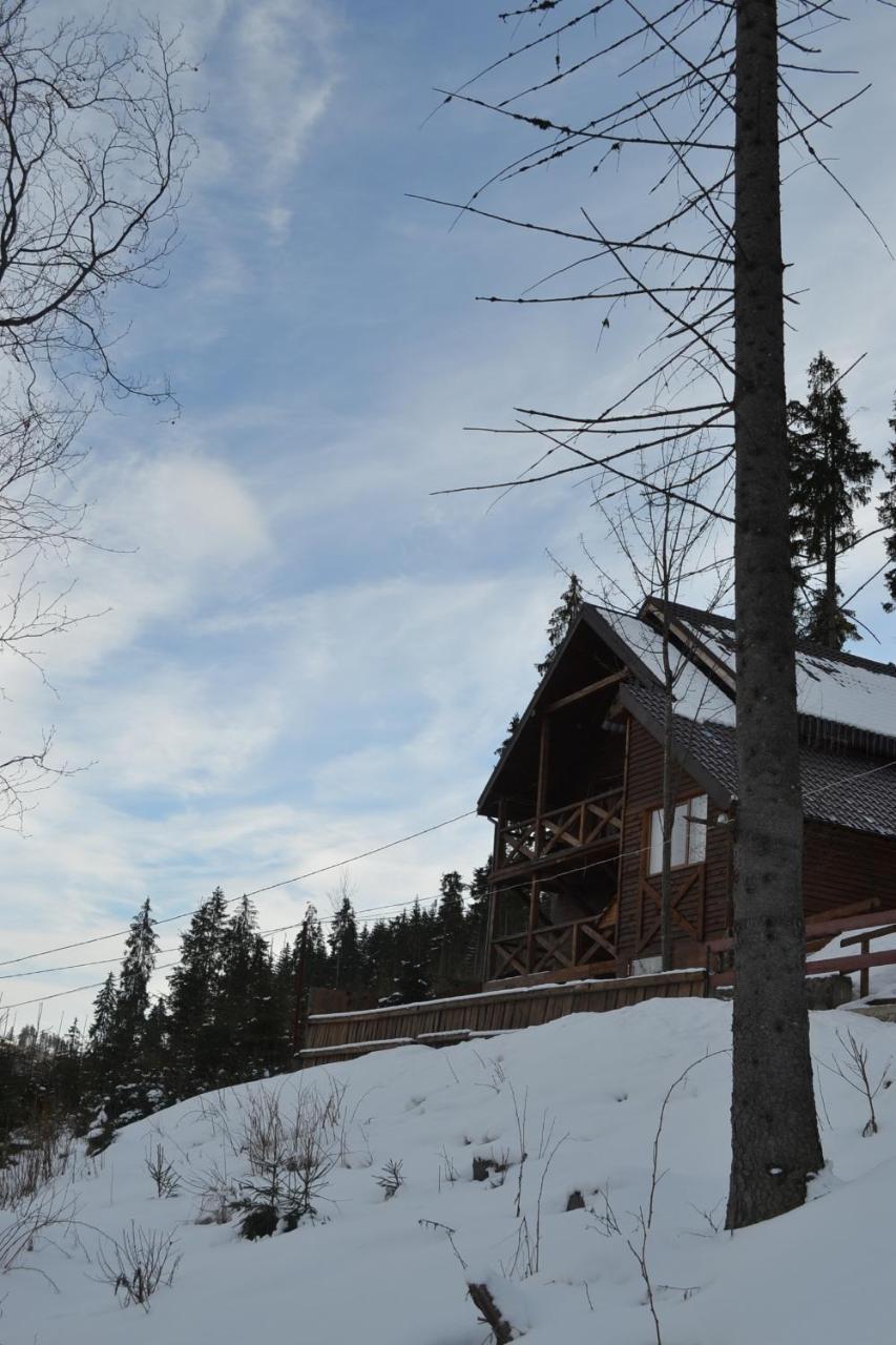 Chalet Shepit Karpat Boekovel Buitenkant foto