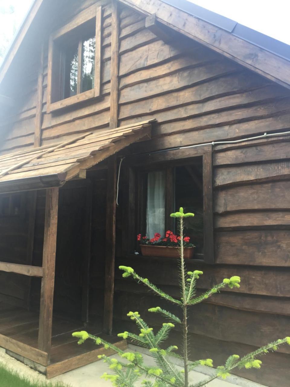 Chalet Shepit Karpat Boekovel Buitenkant foto
