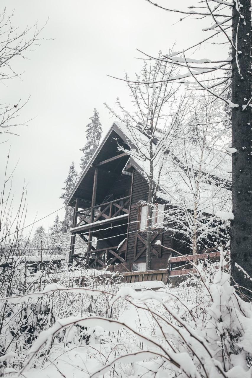 Chalet Shepit Karpat Boekovel Buitenkant foto