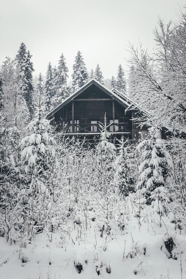 Chalet Shepit Karpat Boekovel Buitenkant foto